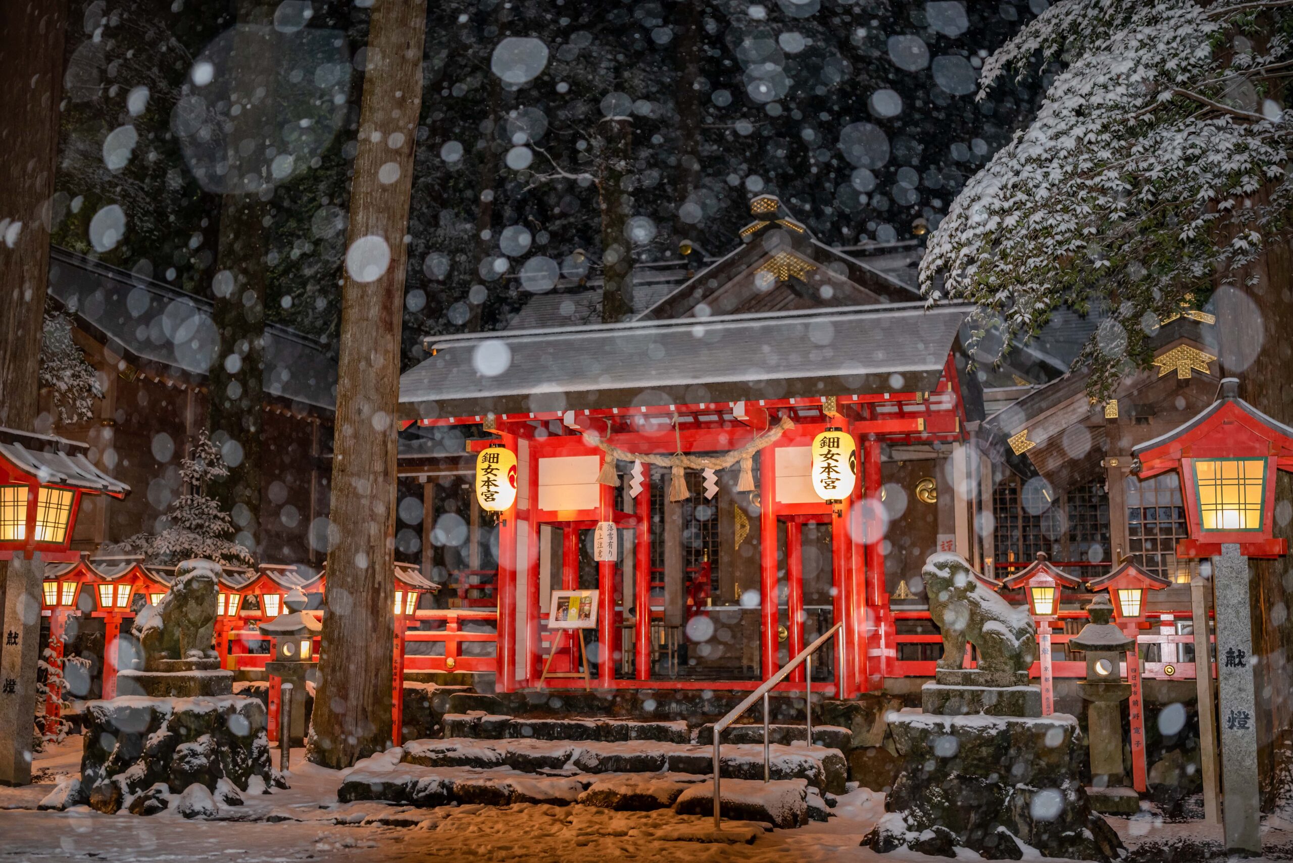 大晦日に雪の降る椿大神社へ年末詣に行ってきました【三重で初詣】