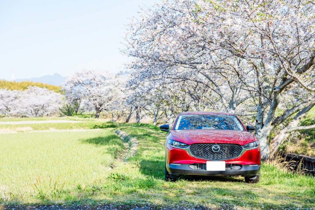 CX-30